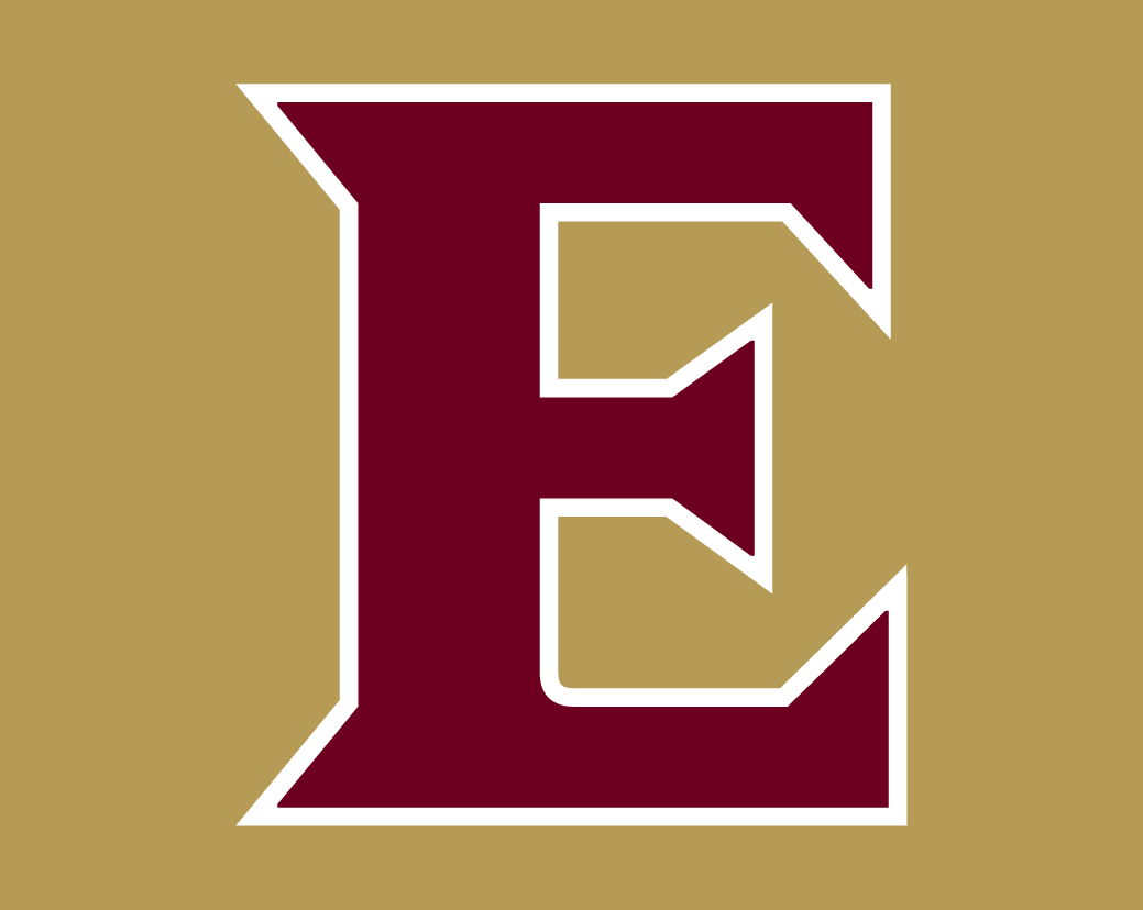 Elon Phoenix 2016-Pres Alternate Logo v3 diy iron on heat transfer